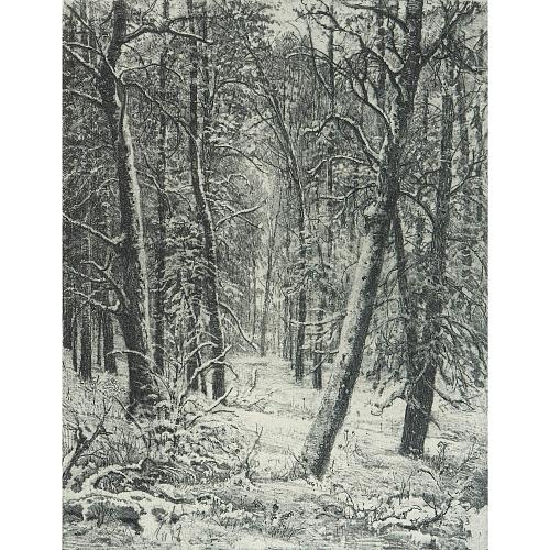 Офорт И.И.Шишкина «Зима» 1885