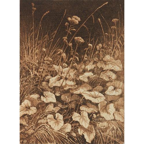 Офорт И.И.Шишкина «Белые цветы» 1880