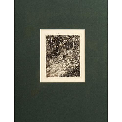 Офорт И.И.Шишкина «Лесные цветы» 1873