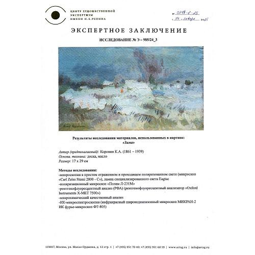 Экспертное заключение ЦХЭ им. И.В. Репина