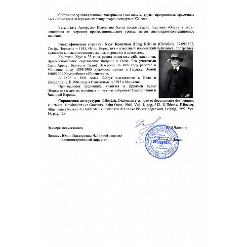 Экспертное заключение НИНЭ им. П.М. Третьякова.