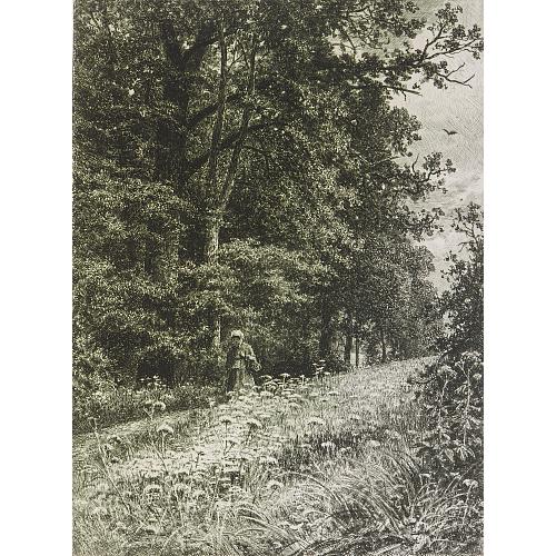 Офорт И.И.Шишкина «На лесной меже» 1878
