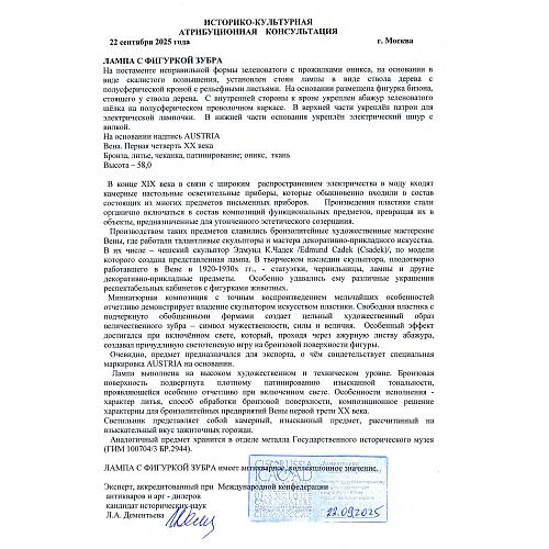 Экспертное заключение