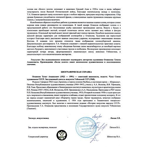 Экспертное заключение