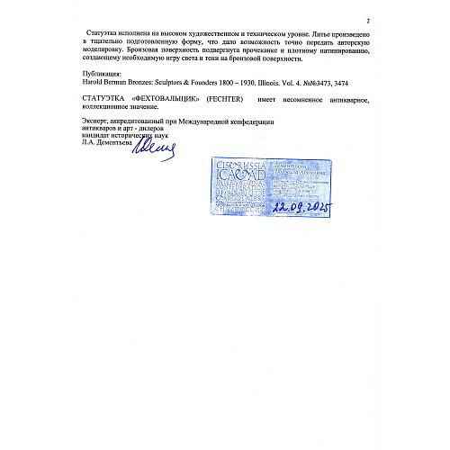 Экспертное заключение