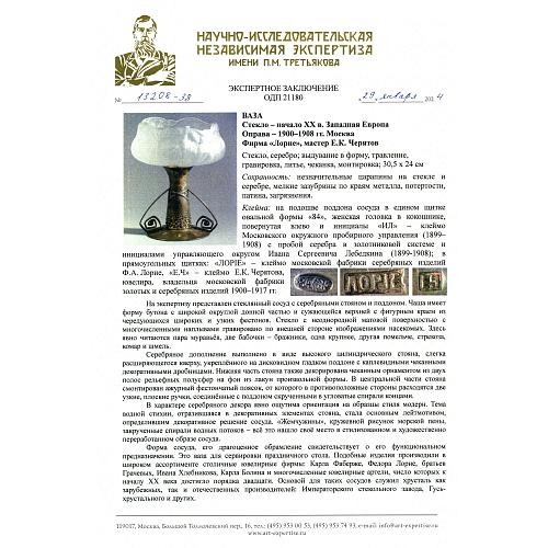 Экспертное заключение НИНЭ им. П.М.Третьякова