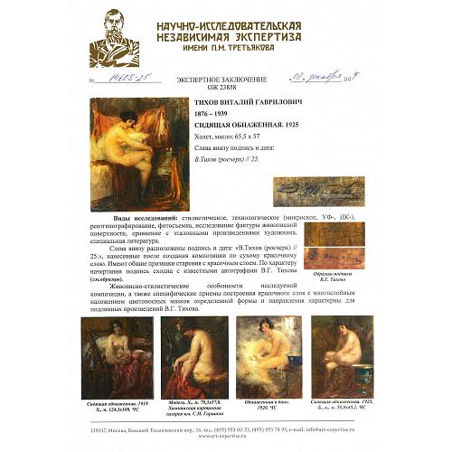 Экспертное заключение НИНЭ им. П.М. Третьякова.