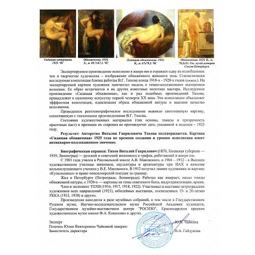 Экспертное заключение НИНЭ им. П.М. Третьякова.