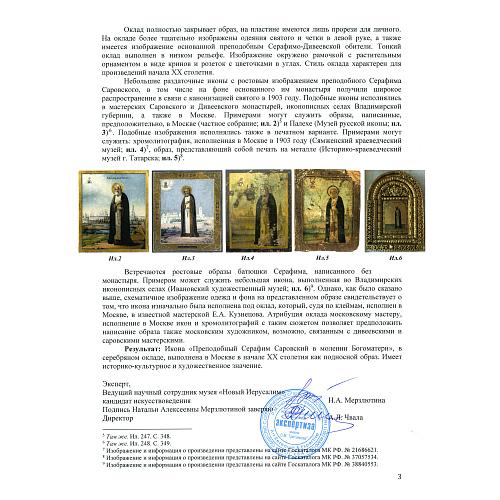 Экспертное заключение НИНЭ им. П. М. Третьякова.