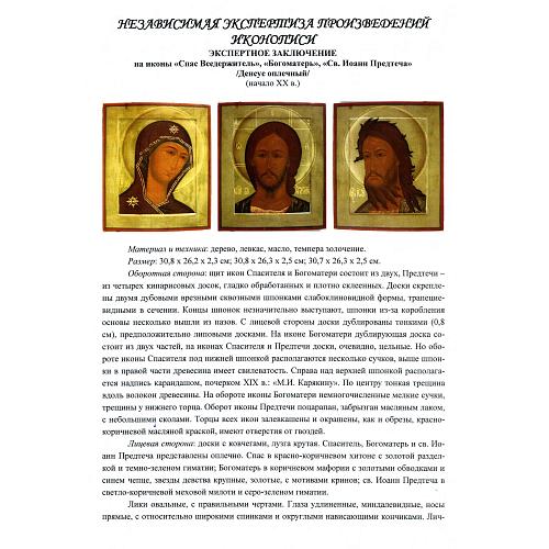 Экспертное заключение доктора искусствоведения, лауреата Государственной премии РФ, ведущего научного сотрудника отдела древнерусского и церковного искусства НИИ РАХ Бусевой-Давыдовой И. Л.
