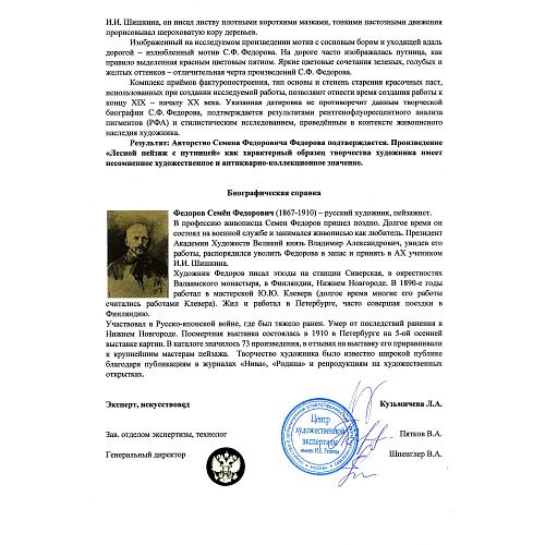 Экспертное заключение