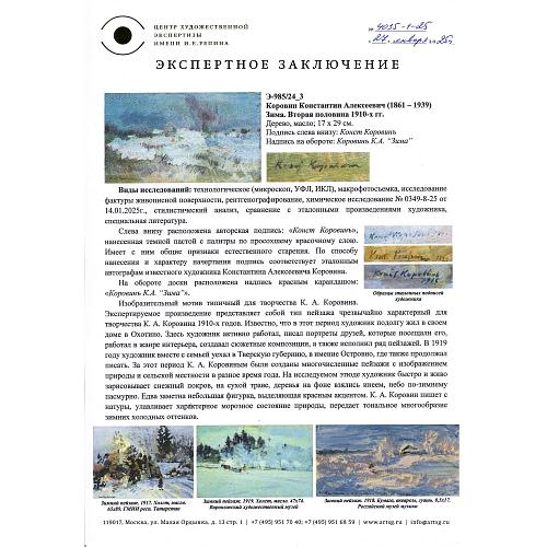 Экспертное заключение ЦХЭ им. И.В. Репина